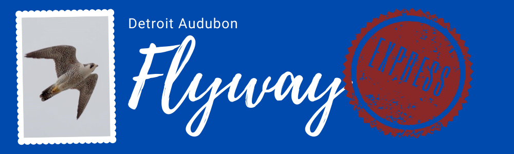 flyway Logo